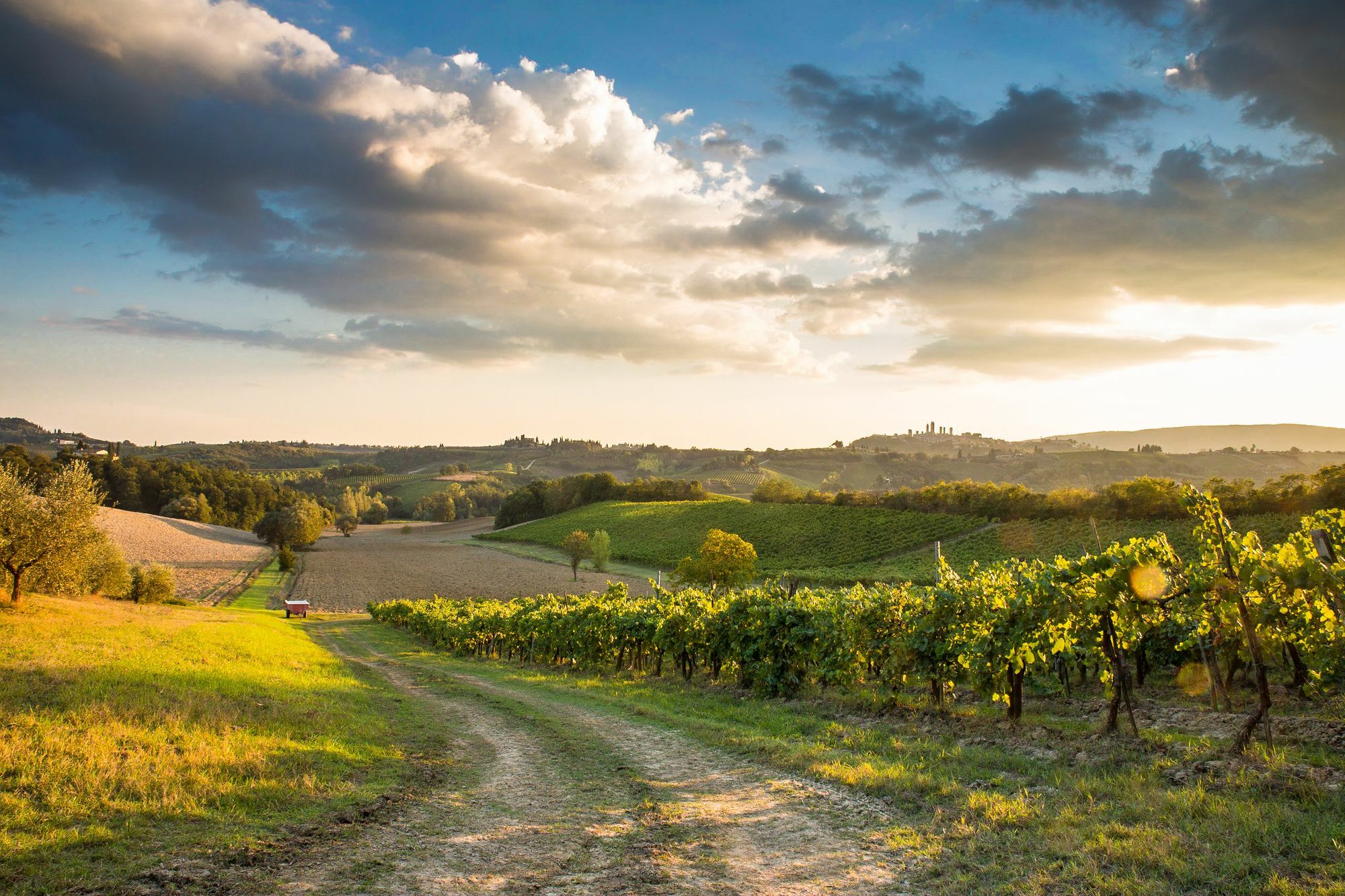 Appartamento Casaglia San Gimignano Exterior photo